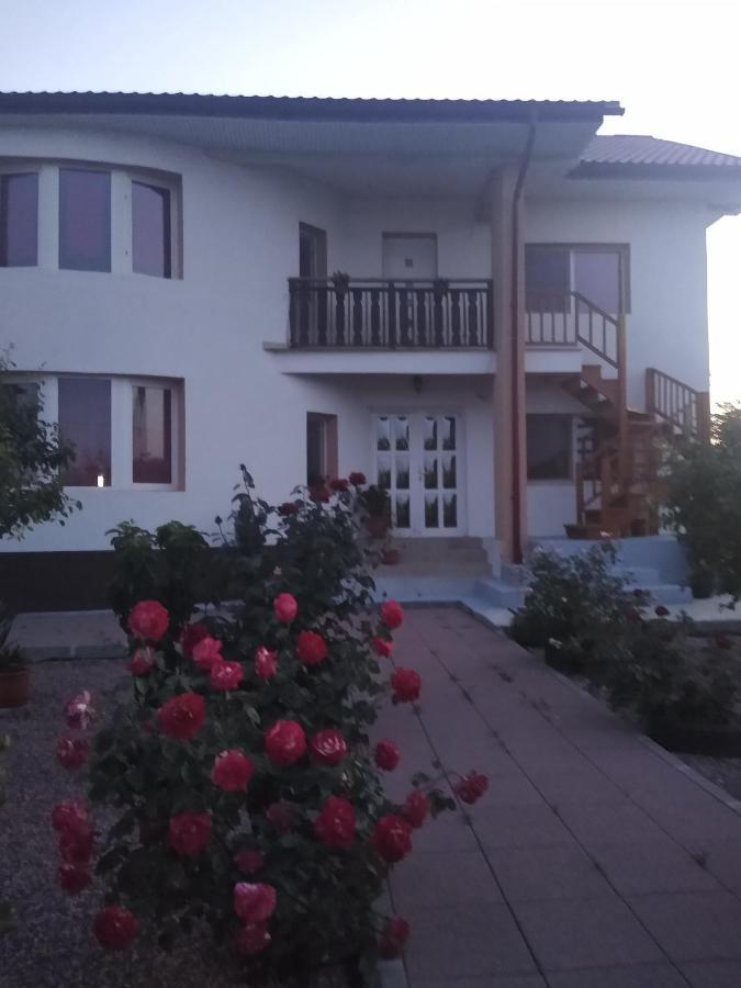 Готель Casa Doina комуна 23 Аугуст Екстер'єр фото