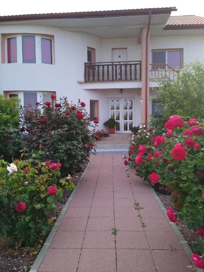 Готель Casa Doina комуна 23 Аугуст Екстер'єр фото