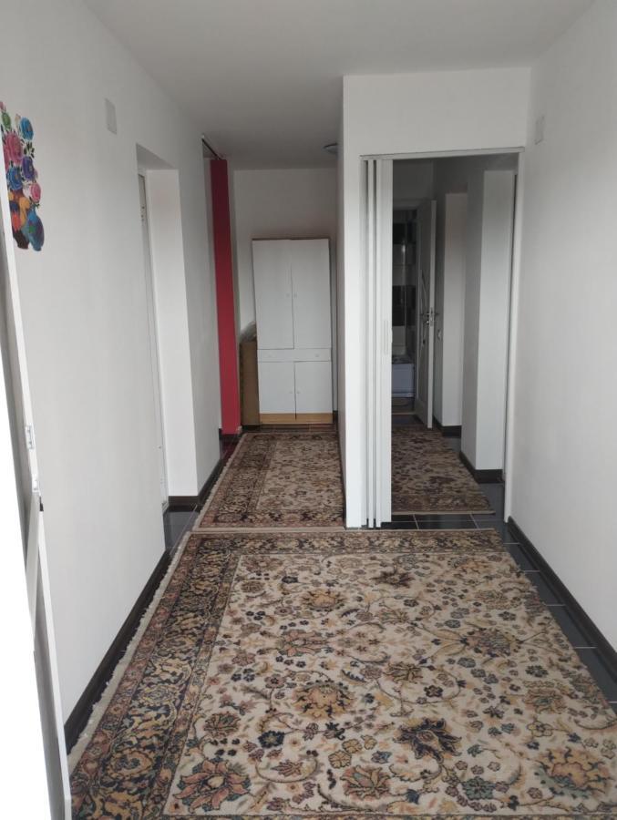 Готель Casa Doina комуна 23 Аугуст Екстер'єр фото